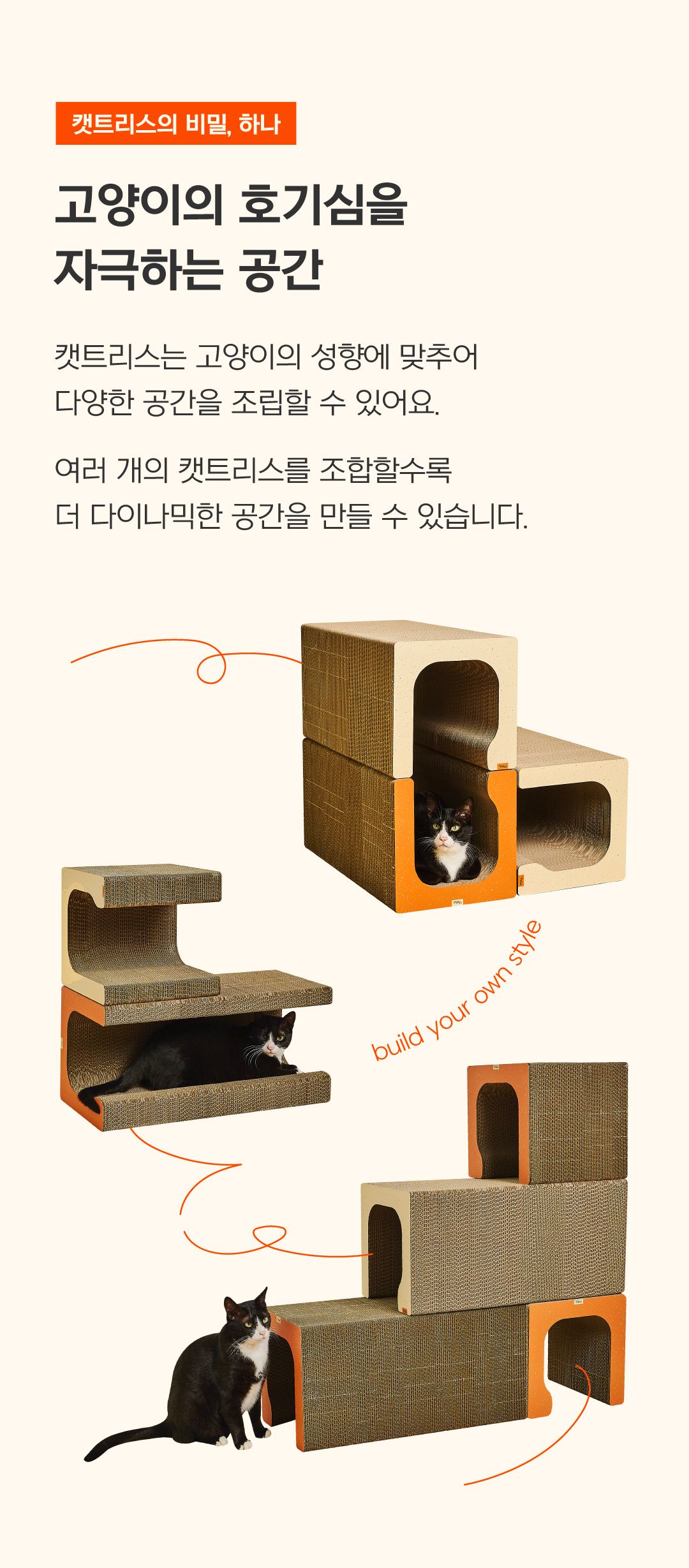 [NEW신상]닥터펠리스 캣트리스 300*2개입/600 7번째