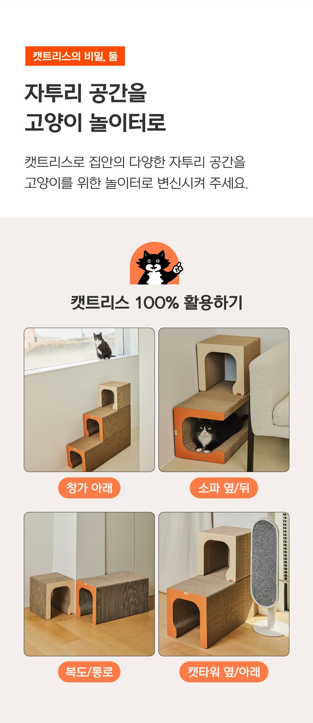 [NEW신상]닥터펠리스 캣트리스 300*2개입/600 8번째