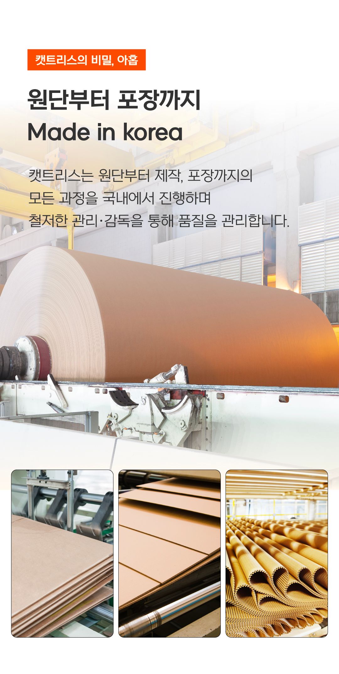 [NEW신상]닥터펠리스 캣트리스 300*2개입/600 16번째