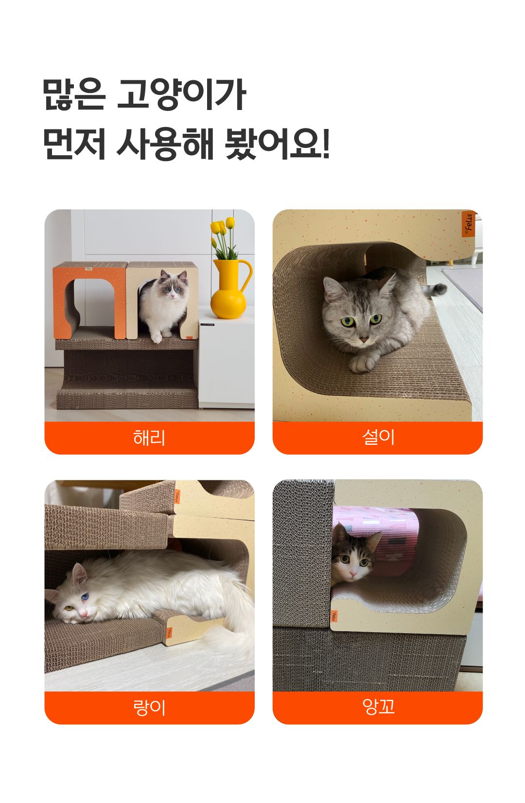[NEW신상]닥터펠리스 캣트리스 300*2개입/600 2번째