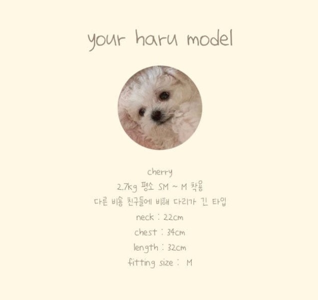 [무료배송] 유어하루 독 윈터 퍼 하네스 패딩 블루 S-XL 16번째