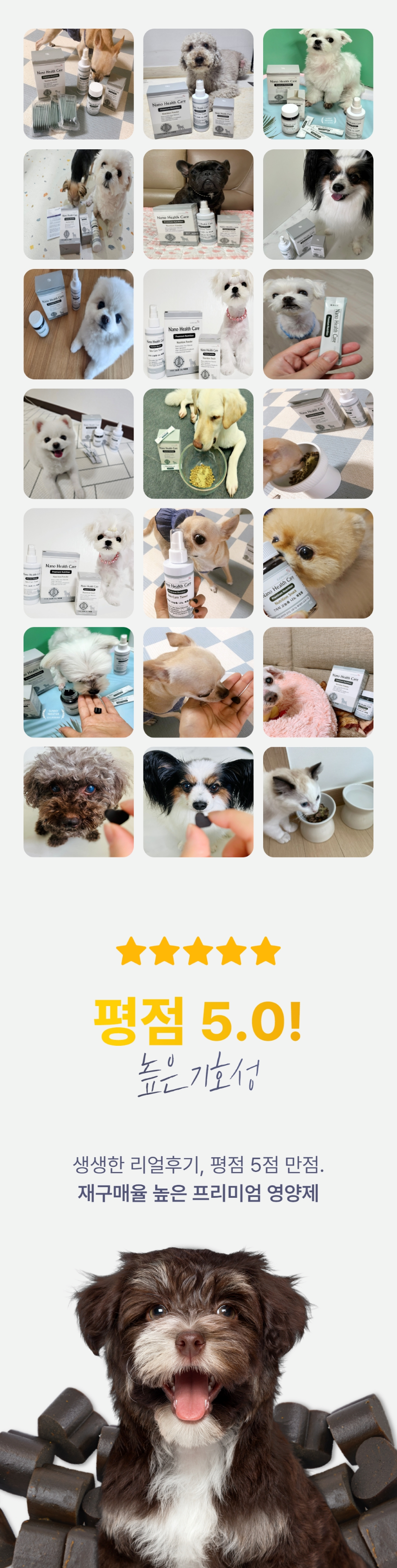[체험단] 고나노 뉴트리션 트릿 영양제 85g 26번째