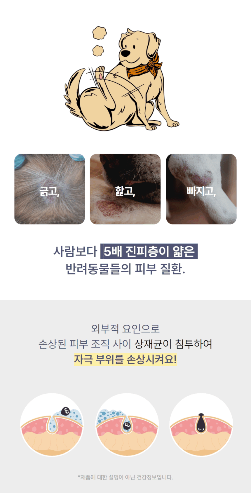 [체험단] 고나노 뉴트리션 트릿 영양제 85g 4번째