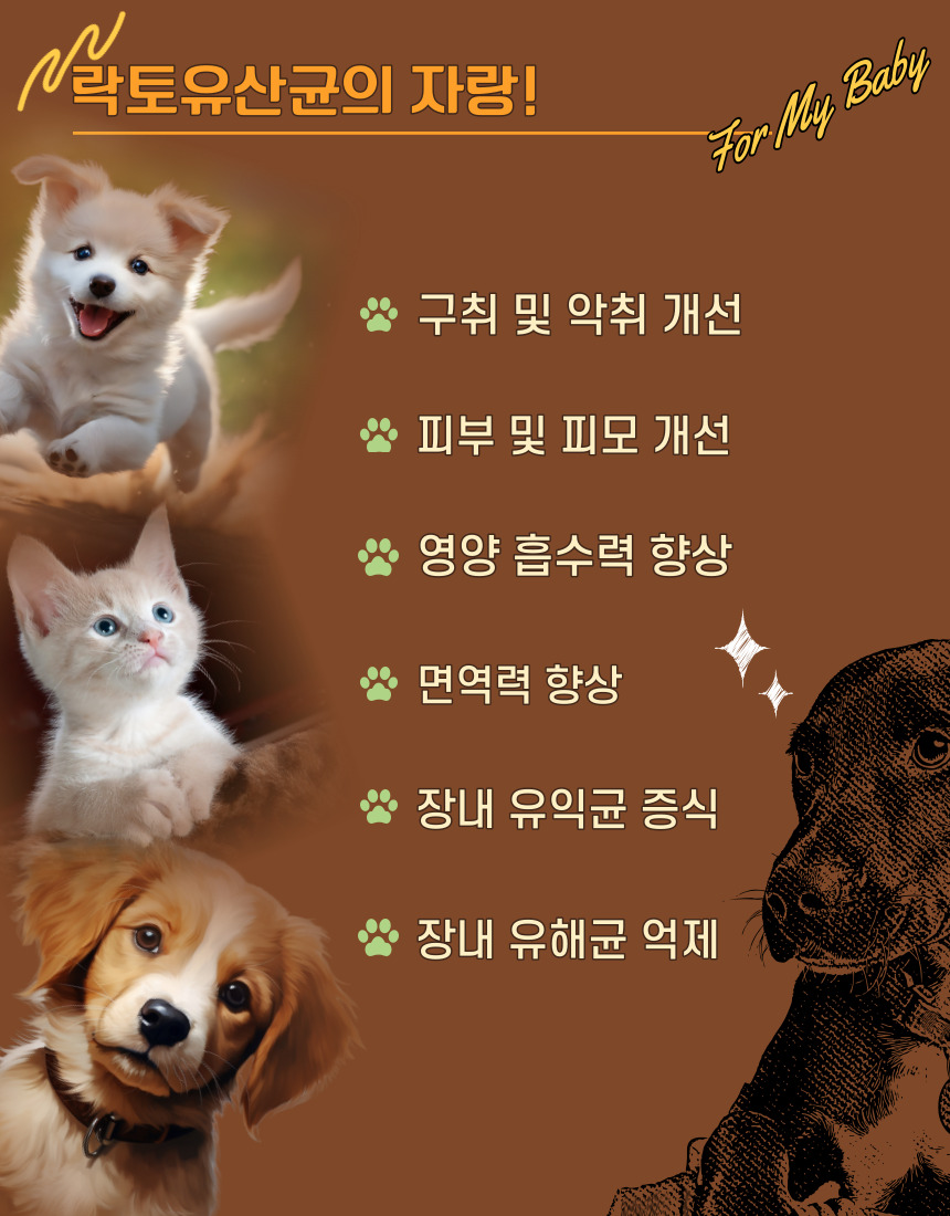 [무료배송] 가치두리 락토생유산균 펠릿 60g  4번째