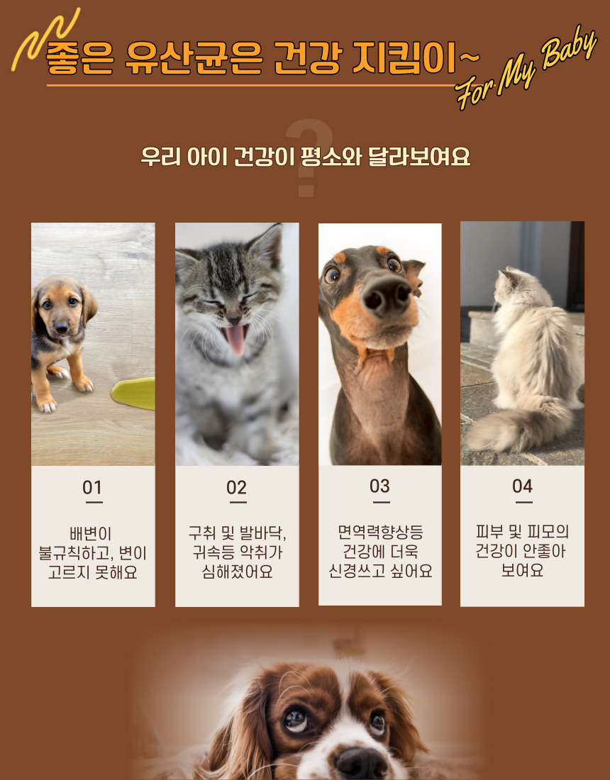 [무료배송] 가치두리 락토생유산균 펠릿 60g  5번째