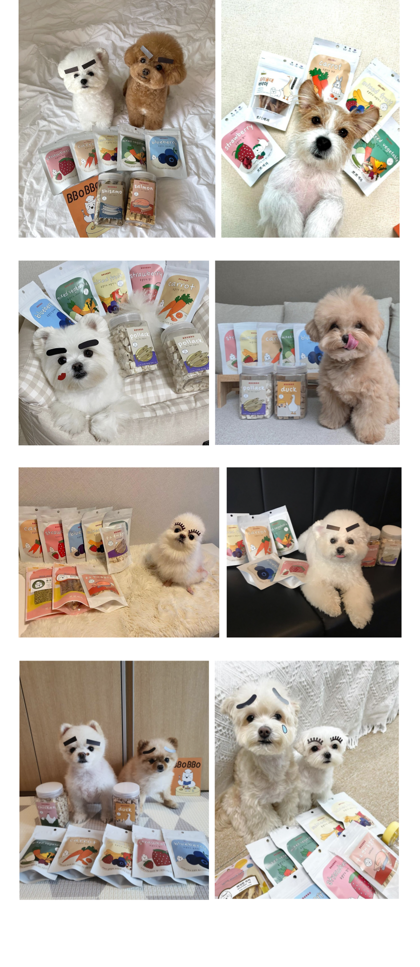 [무료배송] 뽀뽀제과 독 동결건조 과채 4종세트 10번째
