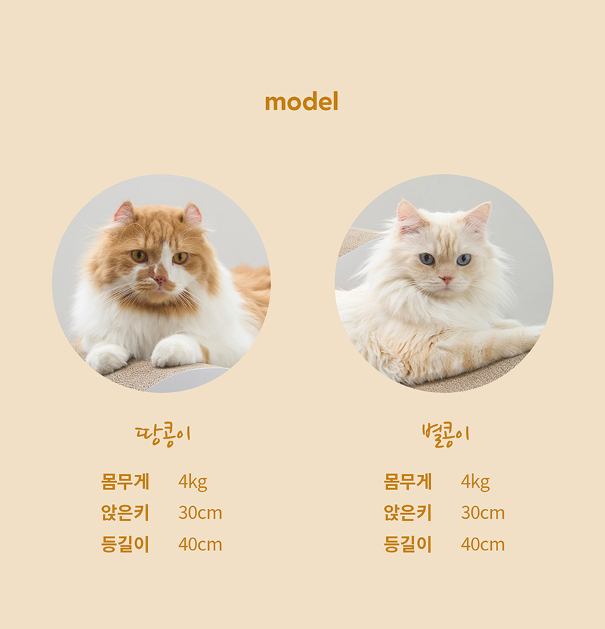 두잇 다묘 스크래쳐 피넛보드 12번째