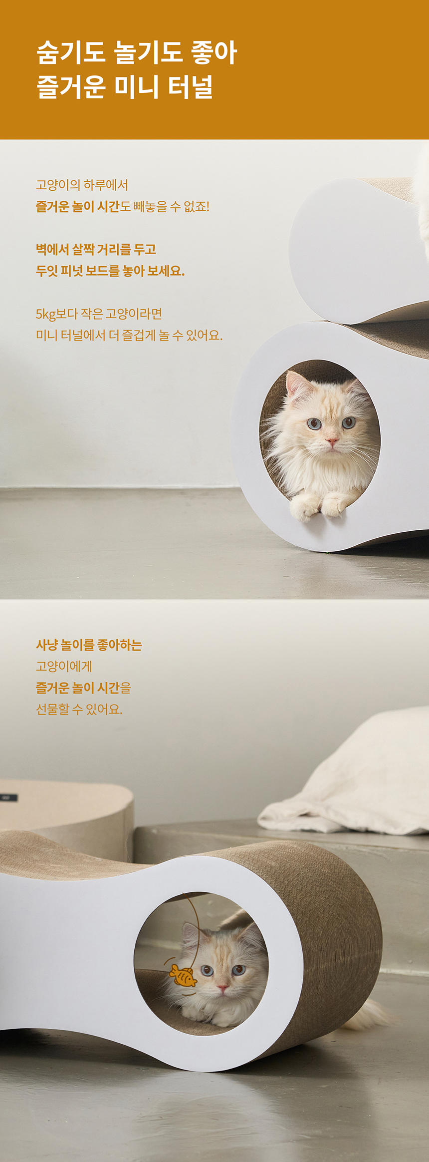 두잇 다묘 스크래쳐 피넛보드 7번째