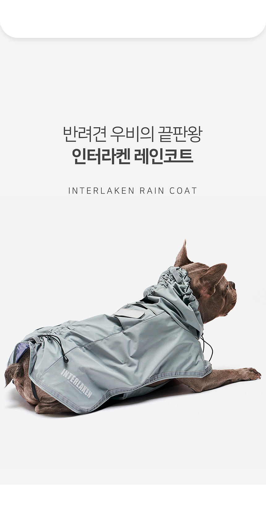 [무료배송] 니즈더펫 인터라켄 강아지 우비 레인코트  S~8XL 13번째