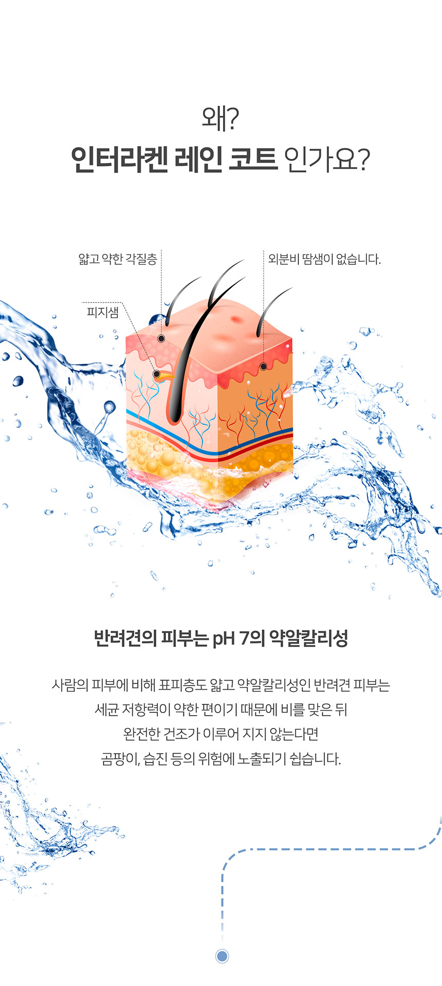 [무료배송] 니즈더펫 인터라켄 강아지 우비 레인코트  S~8XL 4번째