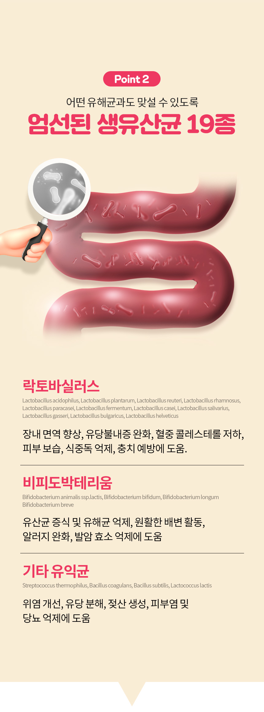 [무료배송] 멍스냥스 강아지 고양이 유산균 핑크 30일분 7번째