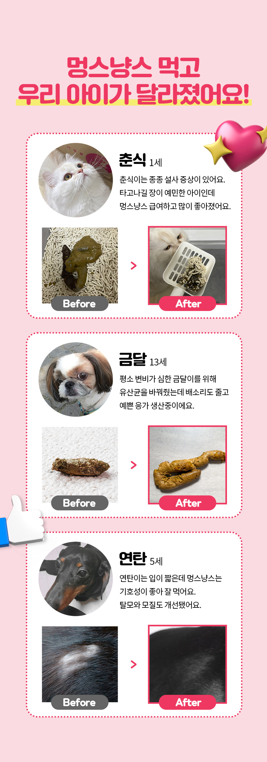 [무료배송] 멍스냥스 강아지 고양이 유산균 핑크 30일분 3번째