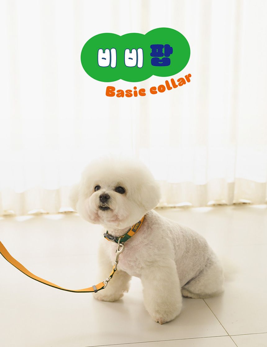 [무료배송] 스펠 비비팝 베이직 칼라 세트 오렌지/네이비/옐로우/그린 S-XL  2번째