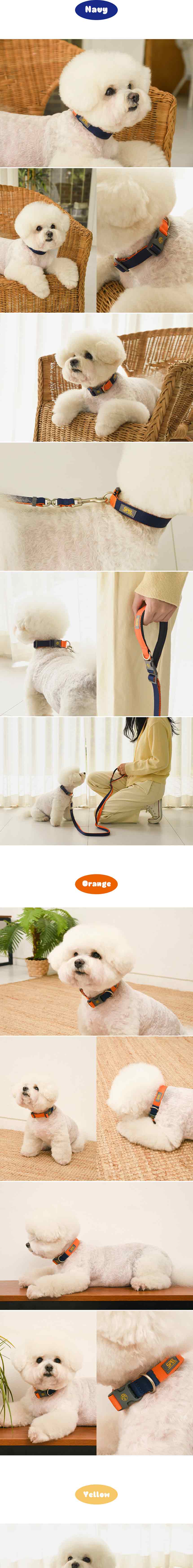[무료배송] 스펠 비비팝 베이직 칼라 세트 오렌지/네이비/옐로우/그린 S-XL  4번째