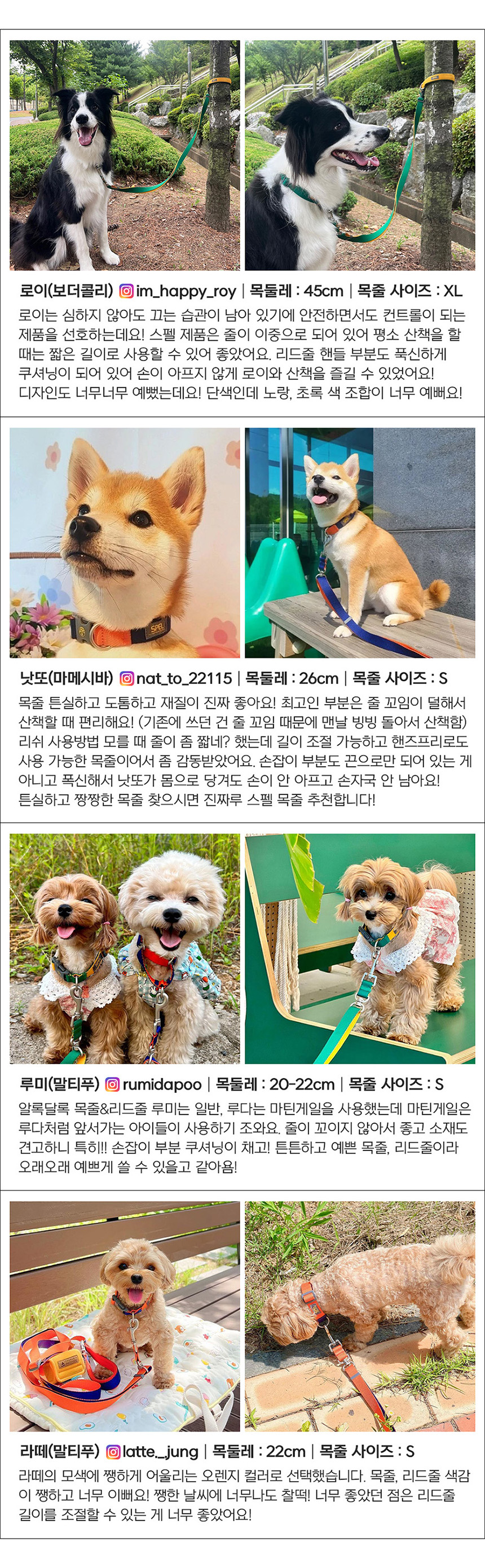 [무료배송] 스펠 비비팝 베이직 칼라 세트 오렌지/네이비/옐로우/그린 S-XL  1번째