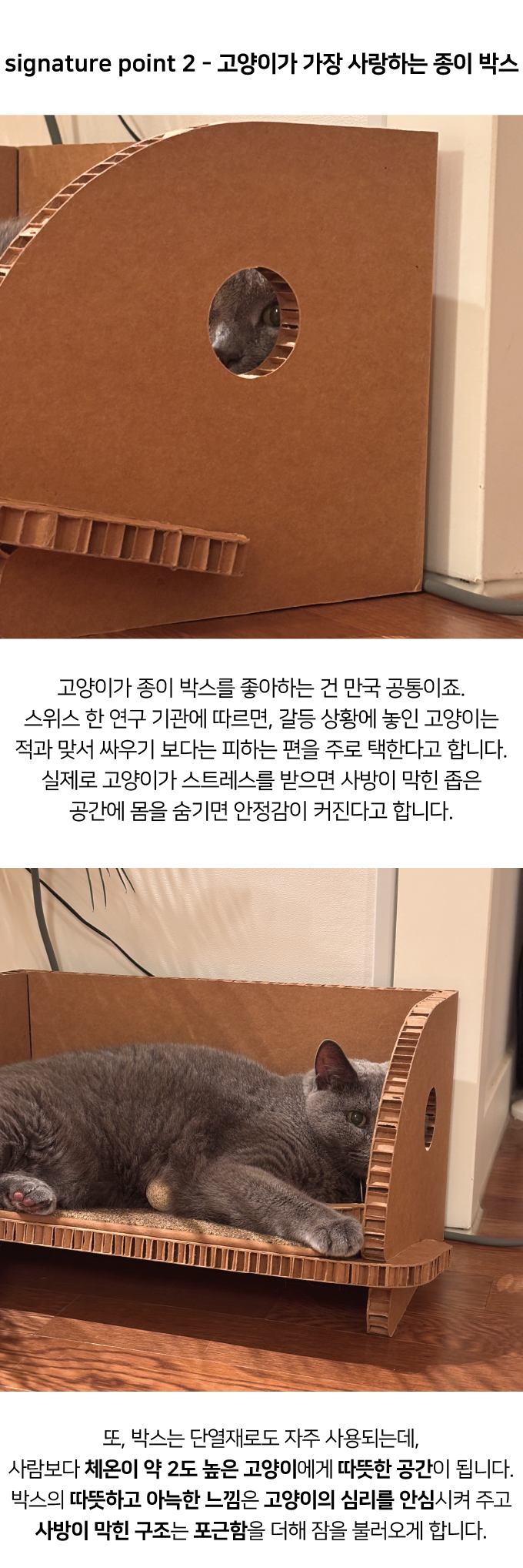 [NEW신상]집에가야돼 고양이 책꽂이 스크래쳐 4번째
