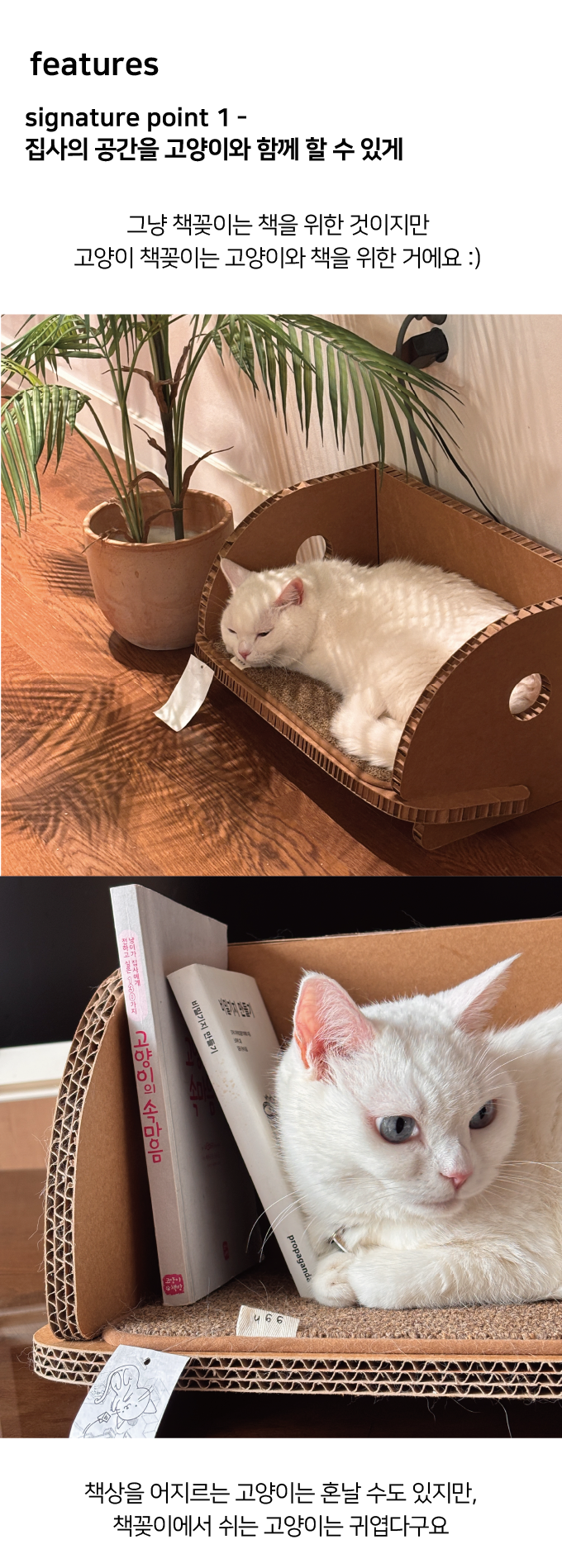 [NEW신상]집에가야돼 고양이 책꽂이 스크래쳐 3번째