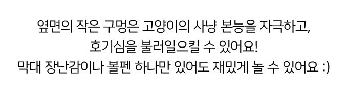 [NEW신상]집에가야돼 고양이 책꽂이 스크래쳐 5번째