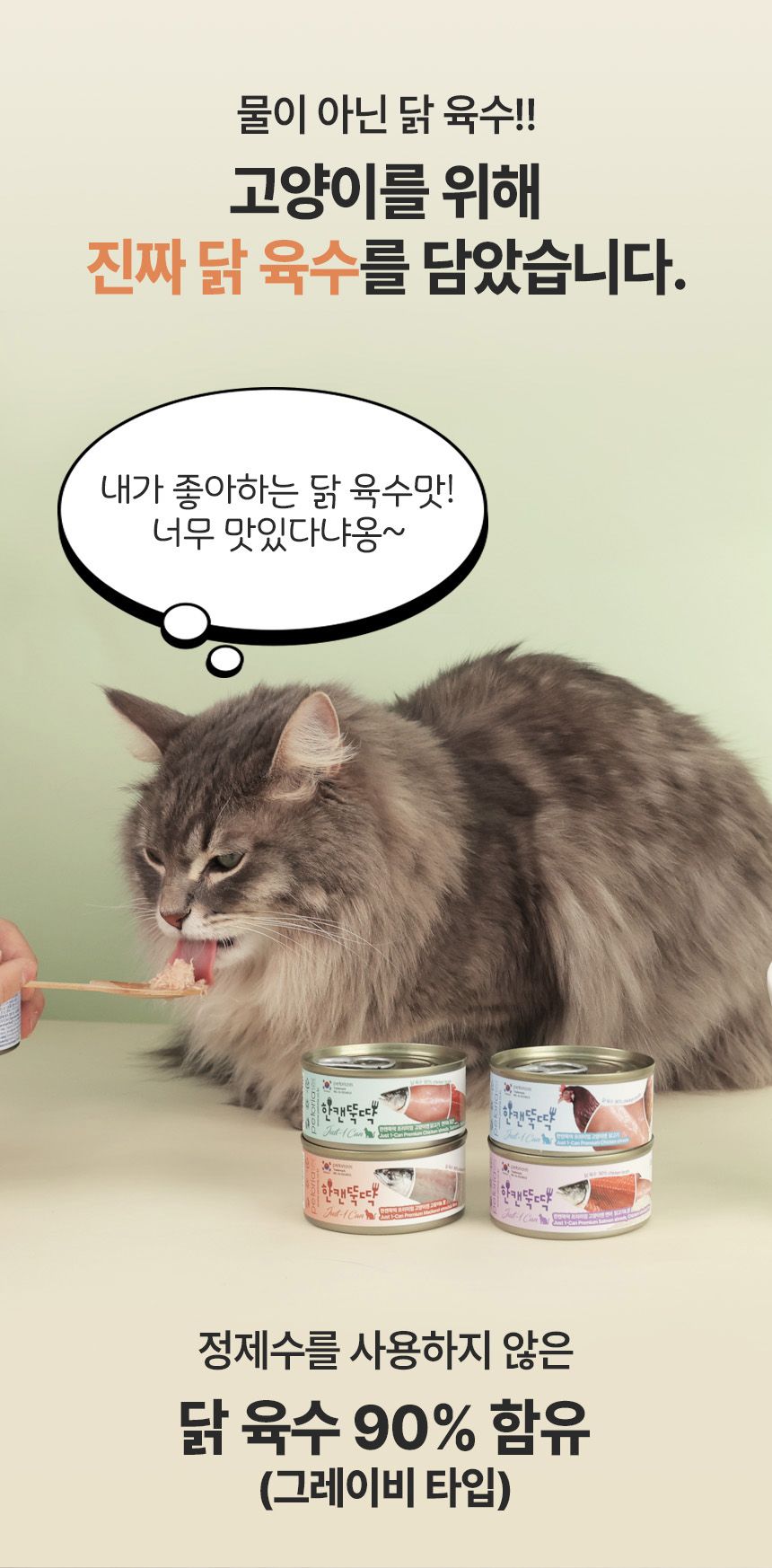 [NEW신상][24개] 펫토리아 한캔뚝딱 프리미엄 영양특식 고양이캔 치킨 85g 16번째