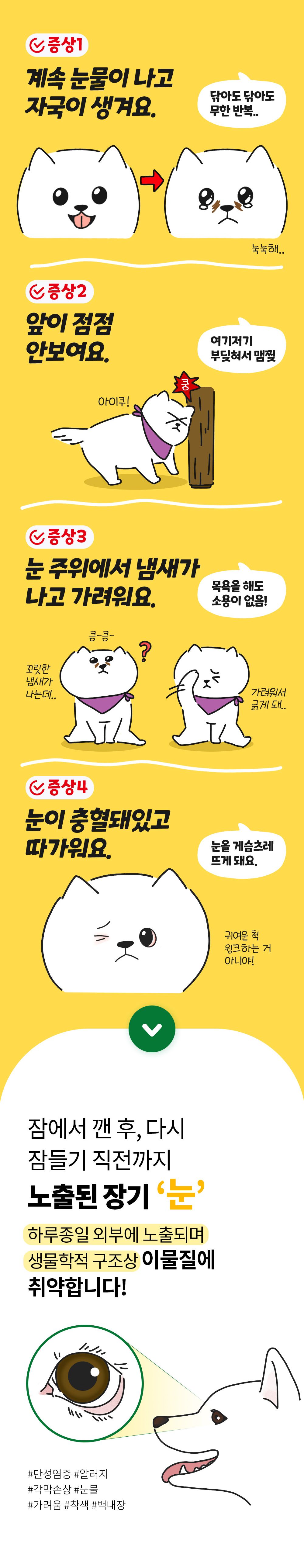 [무료배송] 파파메디 메디아이즈 눈 영양제 눈물자국 2g*30p 5번째