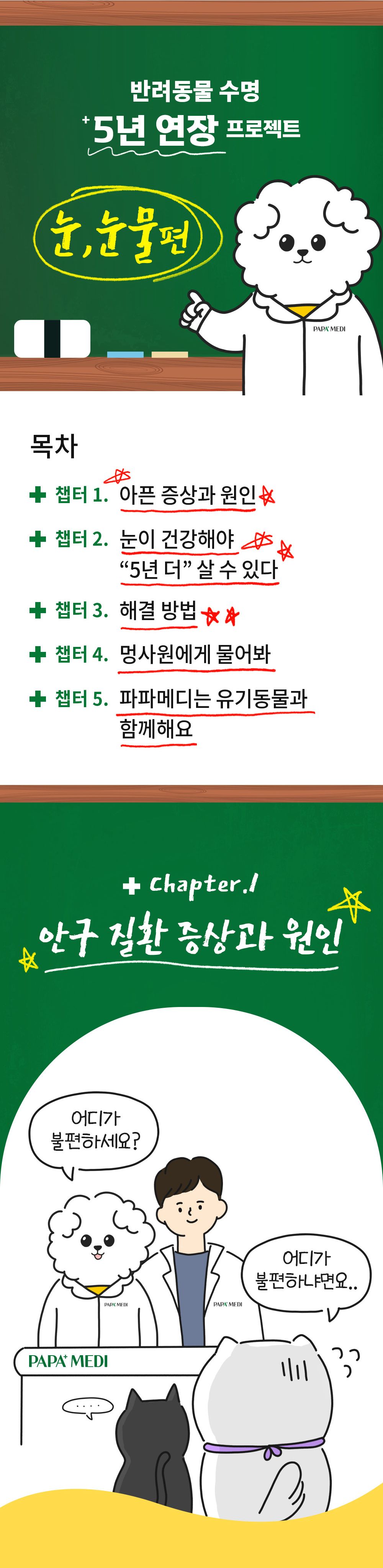 [무료배송] 파파메디 메디아이즈 눈 영양제 눈물자국 2g*30p 4번째