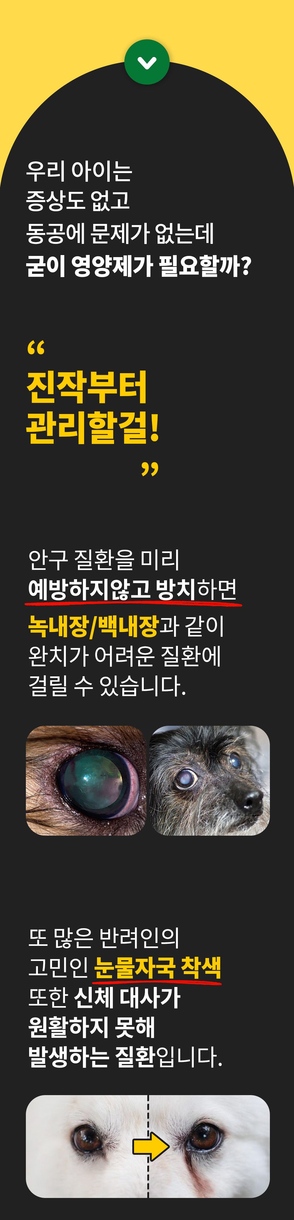 [무료배송] 파파메디 메디아이즈 눈 영양제 눈물자국 2g*30p 8번째