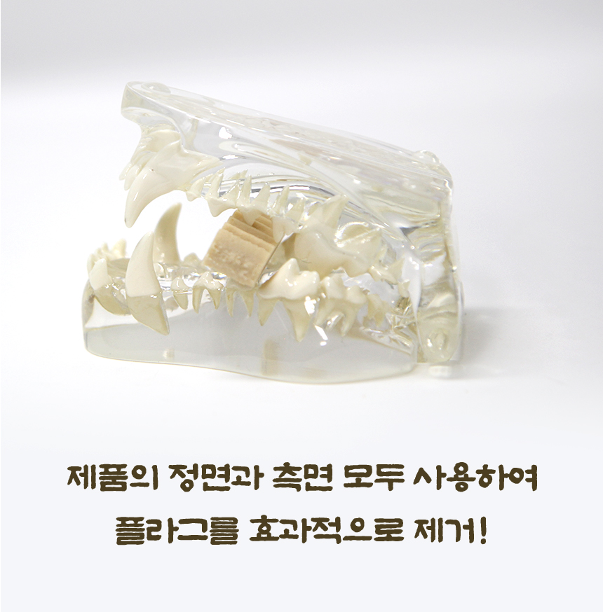 [NEW신상][무료배송] 데이스포 독 한삼인 덴탈클리닉 조인트 200g 11번째