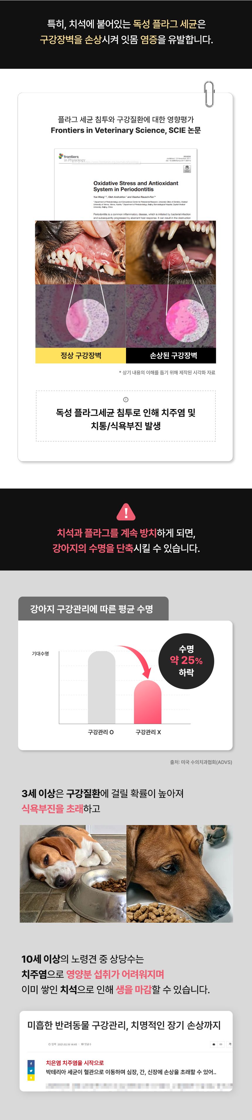 [신상특가] 닥터페트라 펫즐 허니콤 오리지널/덴탈플러스 14개입 8번째