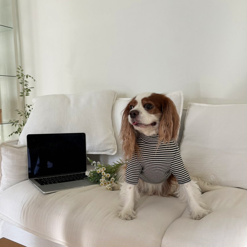 [NEW신상][무료배송] 해피댕댕 단가라폴라티 3종 (블랙,핑크,블루) S-2XL 16번째