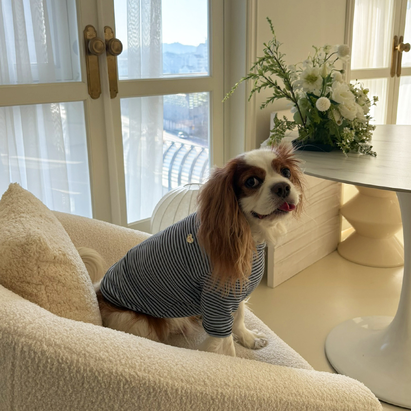 [NEW신상][무료배송] 해피댕댕 단가라폴라티 3종 (블랙,핑크,블루) S-2XL 8번째