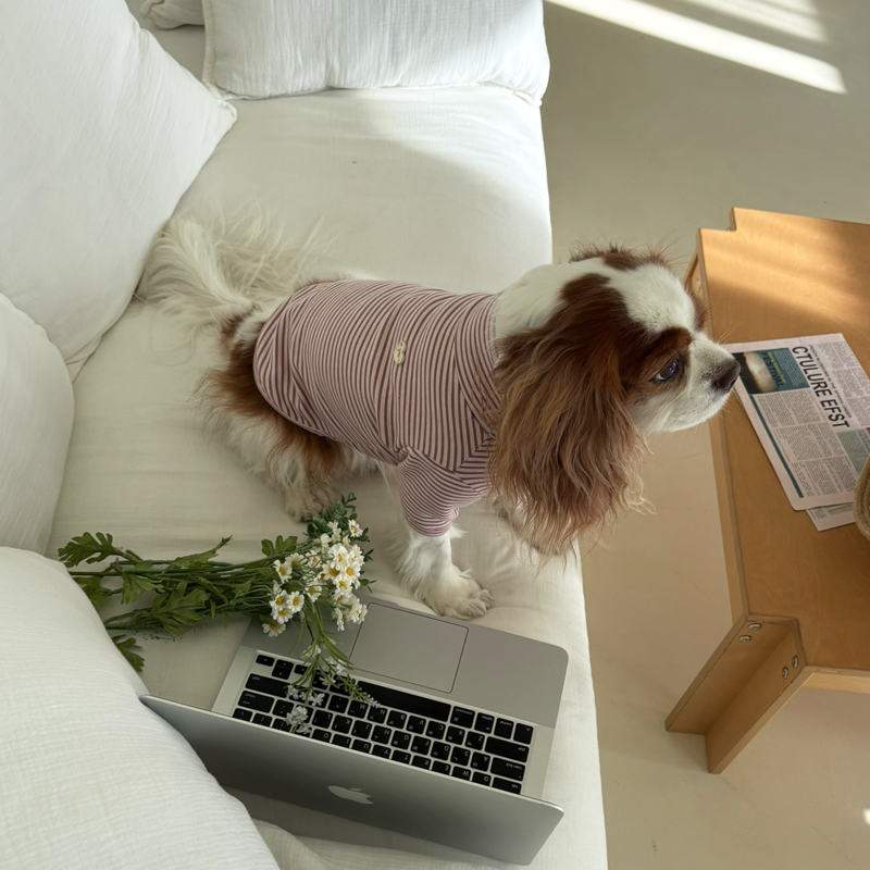 [NEW신상][무료배송] 해피댕댕 단가라폴라티 3종 (블랙,핑크,블루) S-2XL 13번째