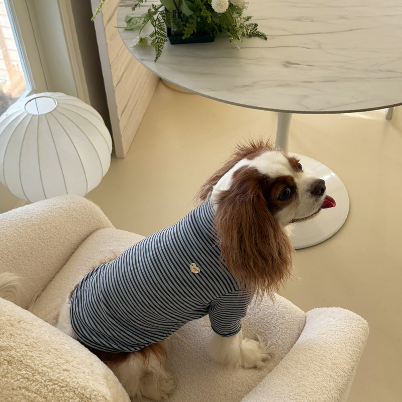 [NEW신상][무료배송] 해피댕댕 단가라폴라티 3종 (블랙,핑크,블루) S-2XL 9번째