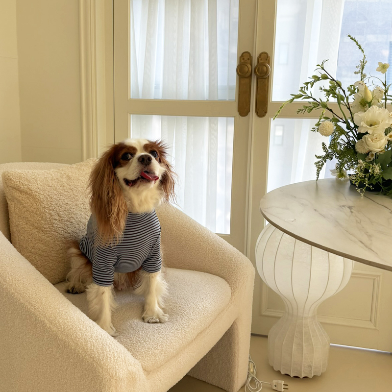 [NEW신상][무료배송] 해피댕댕 단가라폴라티 3종 (블랙,핑크,블루) S-2XL 7번째