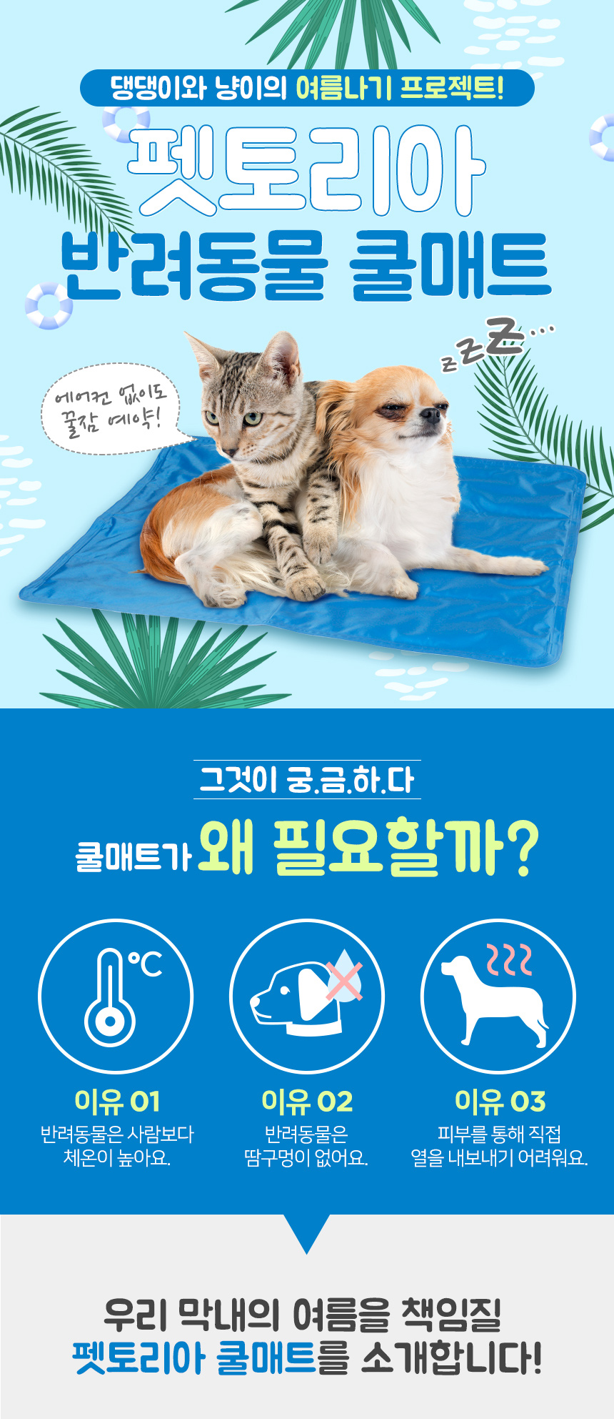 [NEW신상][무료배송] 펫토리아 강아지 여름용 쿨매트방석 S-M 4번째