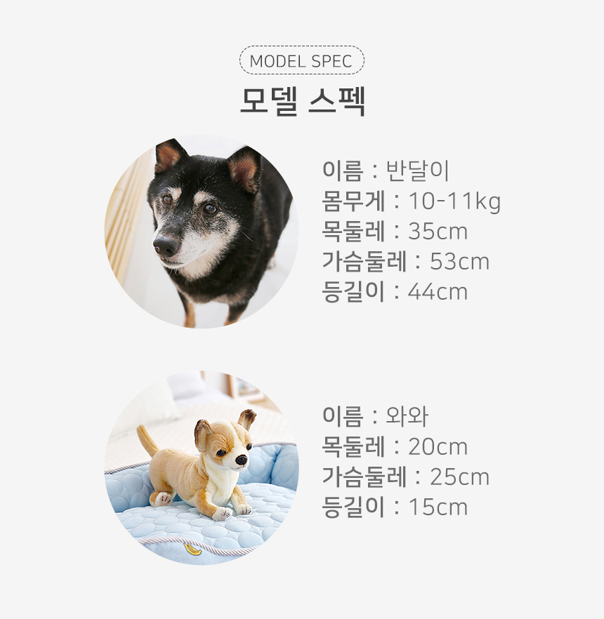 [NEW신상][무료배송] 펫토리아 강아지 여름용 쿨매트방석 S-M 7번째