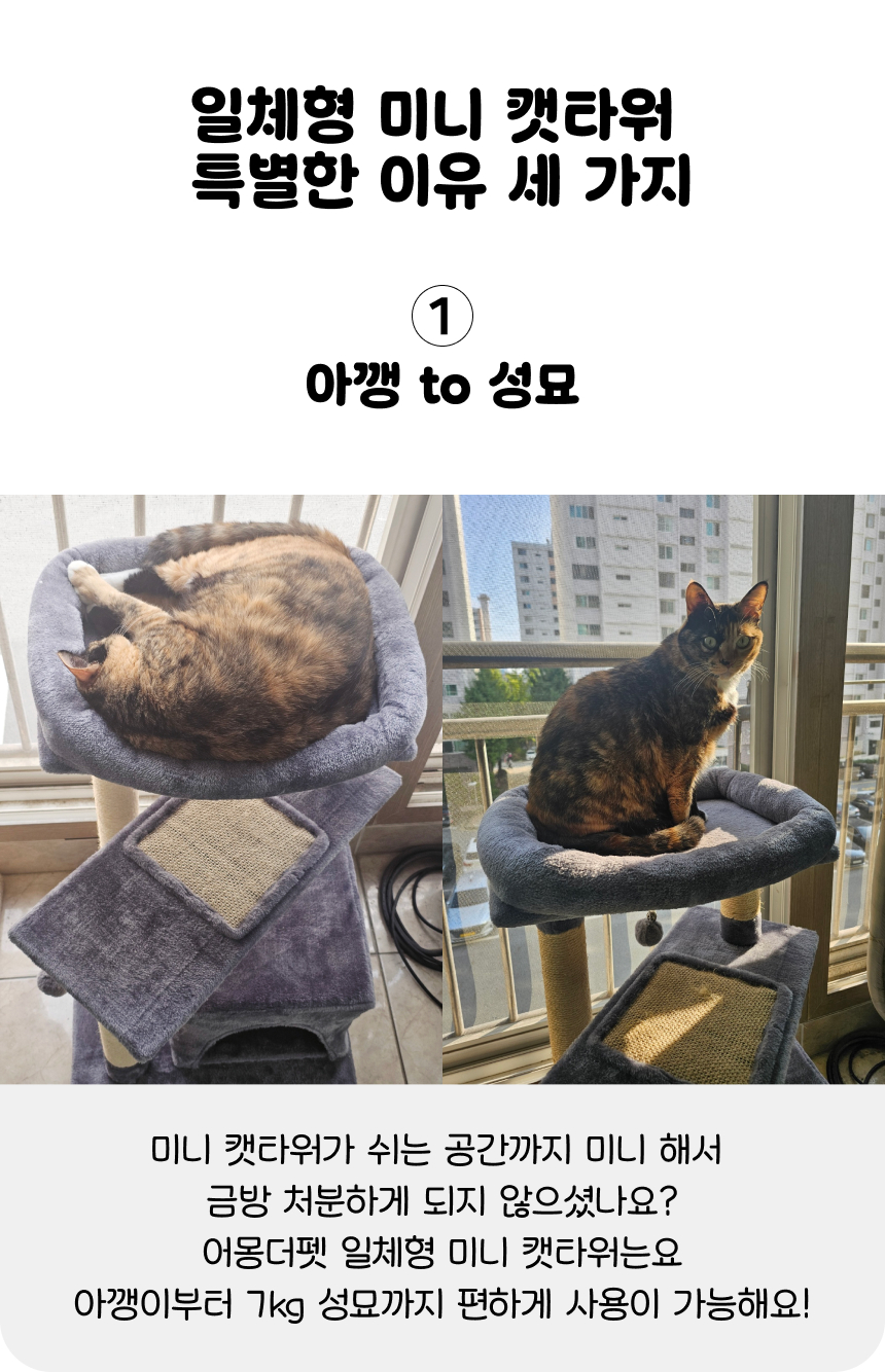 [NEW신상][무료배송] 어몽더펫 고양이 숨숨집 낮은 3단 미니 캣타워 8번째