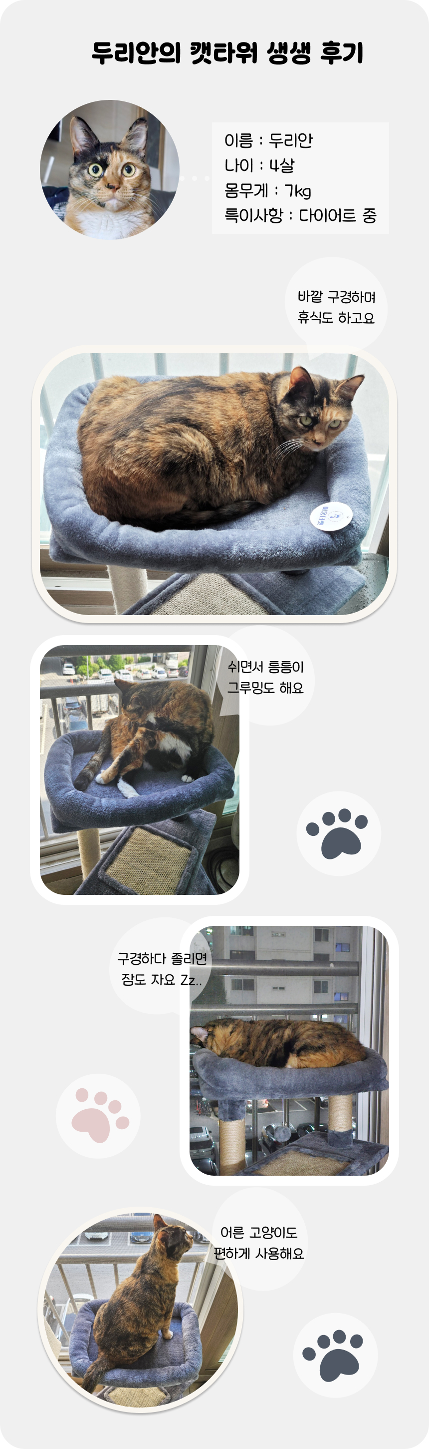 [NEW신상][무료배송] 어몽더펫 고양이 숨숨집 낮은 3단 미니 캣타워 5번째