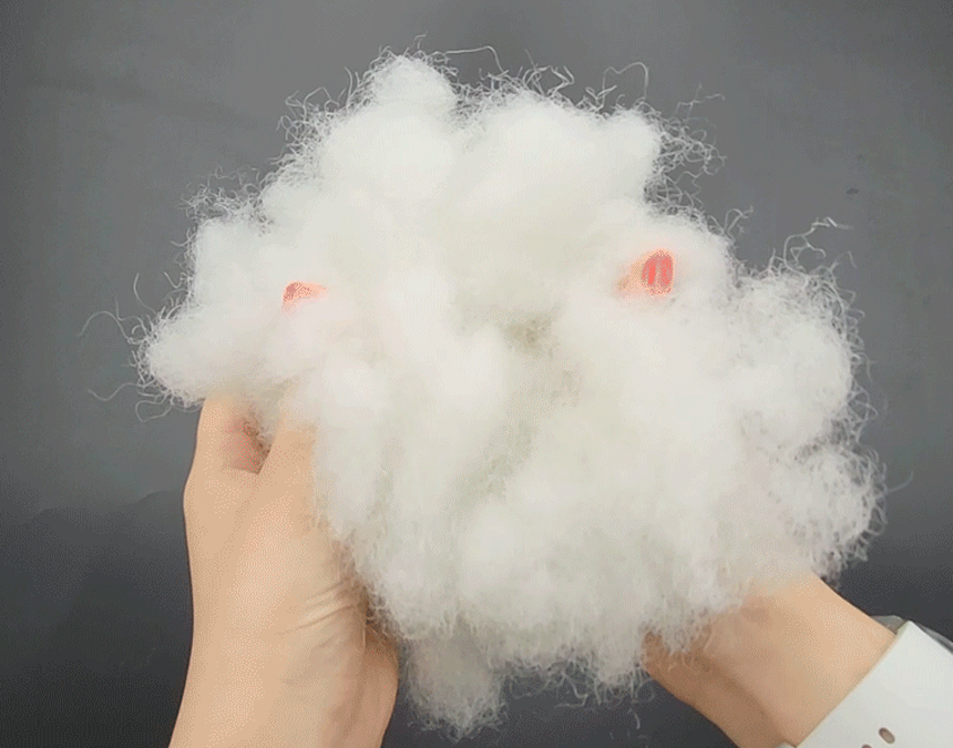 [무료배송] 레토 강아지방석 올커버 분리형 LDC-R05 14번째