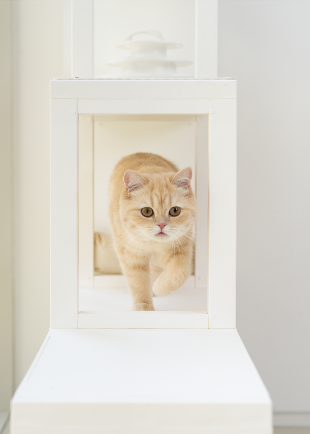 [NEW신상][무료배송] 큐빅스펫 계단형 숨숨집 6단 캣타워 3X3+ 커버 세트 6color  +스크래쳐1장 포함 26번째