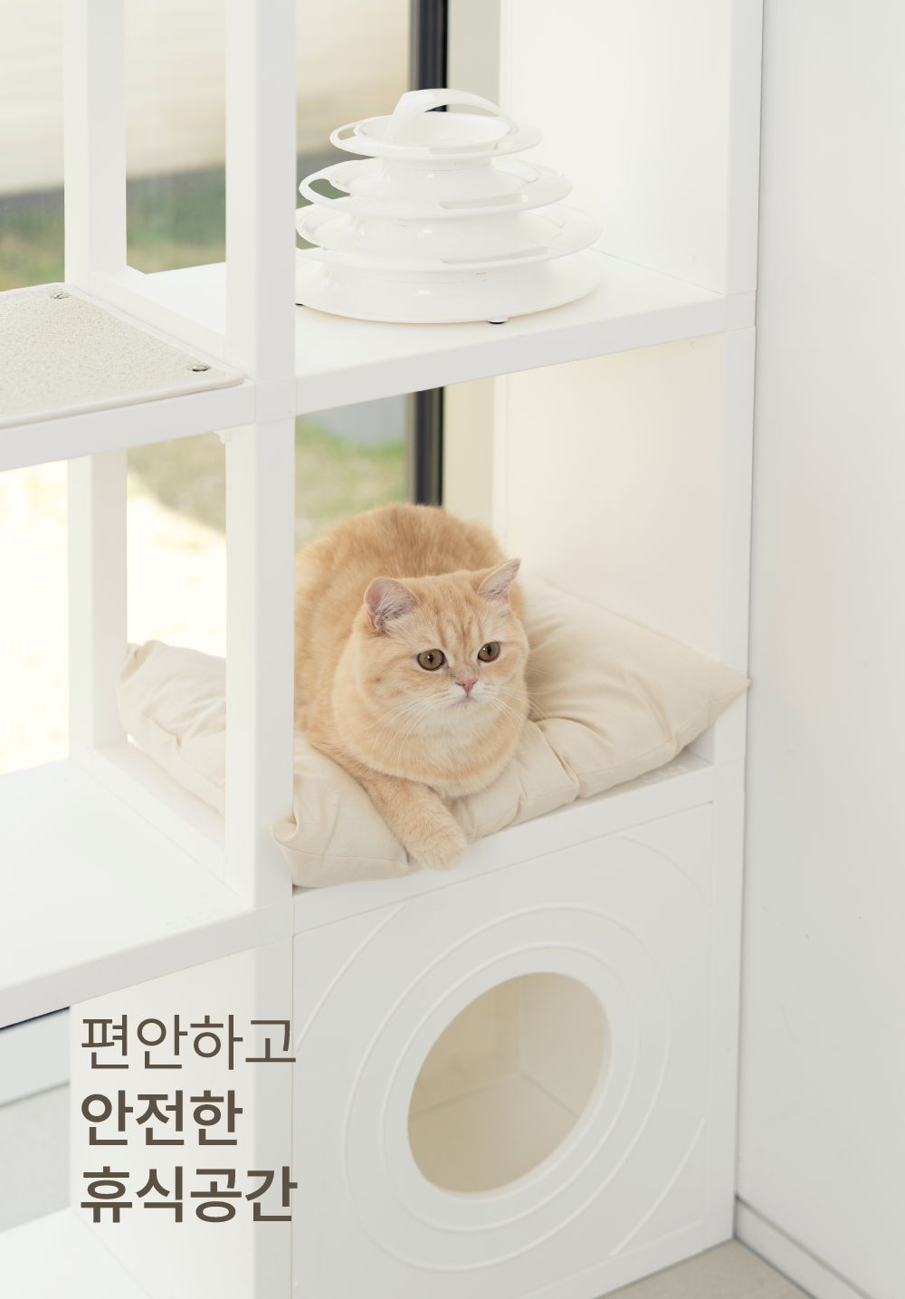 [NEW신상][무료배송] 큐빅스펫 계단형 숨숨집 6단 캣타워 3X3+ 커버 세트 6color  +스크래쳐1장 포함 30번째