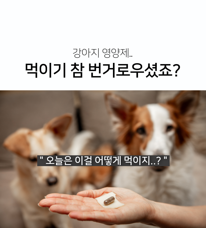 닥터웰릿 스킨 에스케어 츄 9*32g 2번째