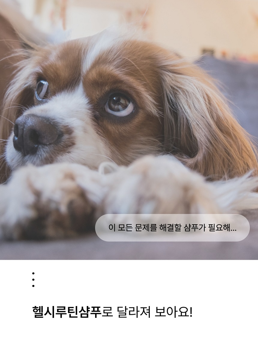 [무료배송] 젠트웰브 헬시루틴 강아지샴푸 300ml 8번째