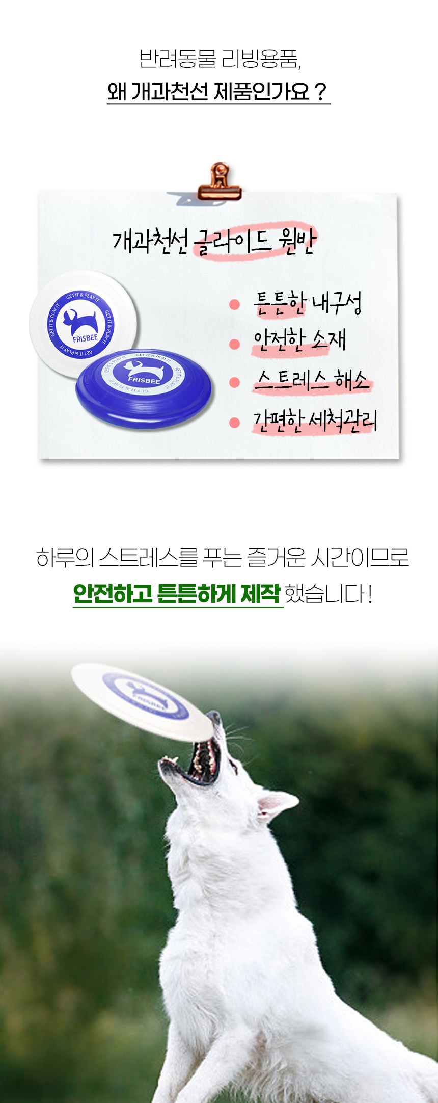 [NEW신상][무료배송] 개과천선 독 글라이드 원반 (블루/화이트) 4번째