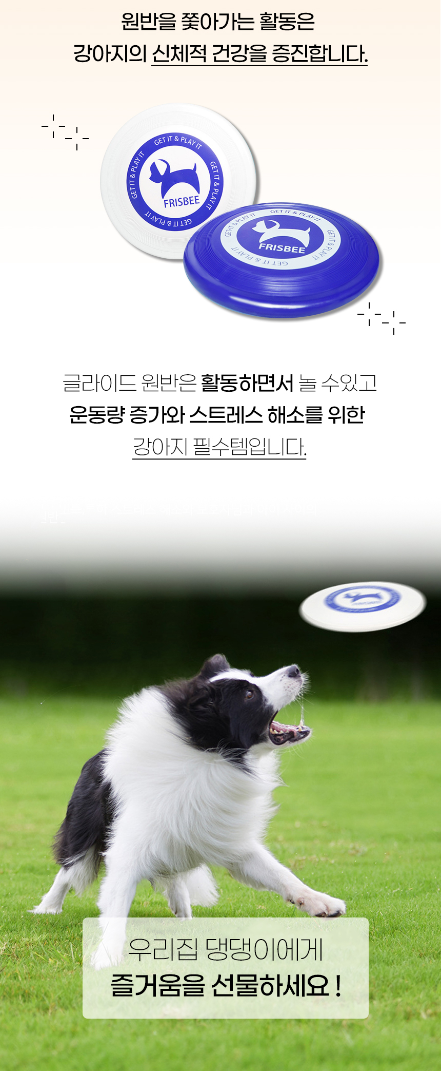 [NEW신상][무료배송] 개과천선 독 글라이드 원반 (블루/화이트) 2번째