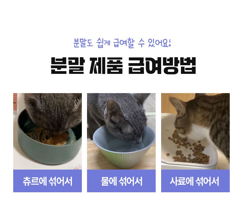 펫생각 캣 데일리케얼 리얼 신장 영양제 2g*30p 15번째