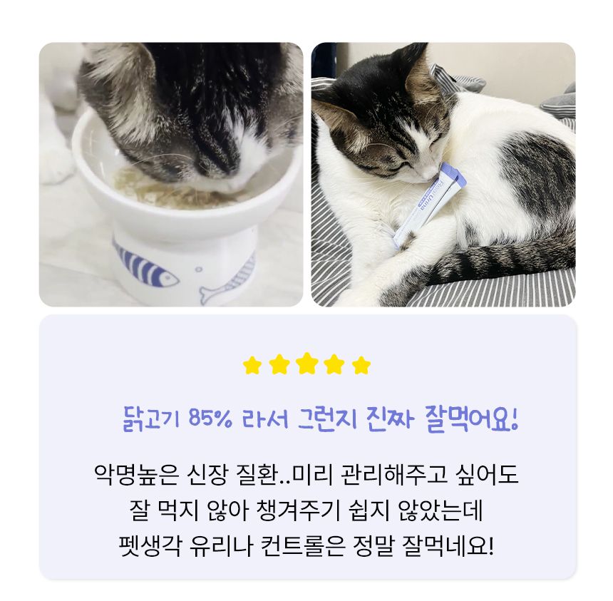 펫생각 캣 데일리케얼 리얼 신장 영양제 2g*30p 6번째