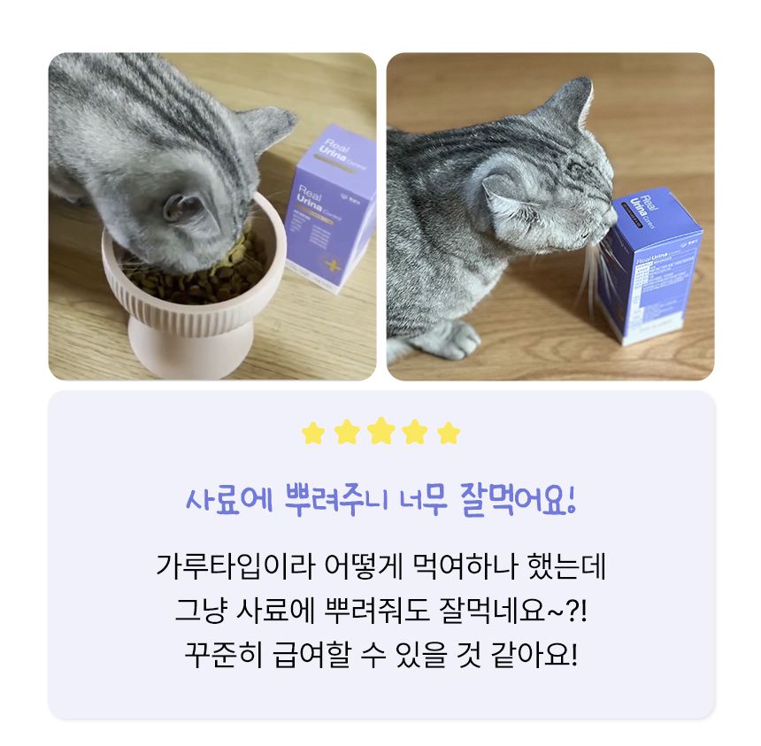 펫생각 캣 데일리케얼 리얼 신장 영양제 2g*30p 7번째