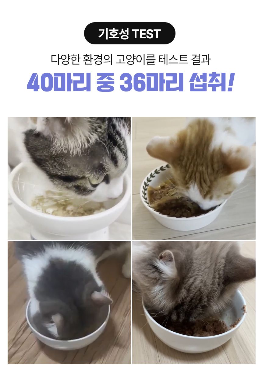 펫생각 캣 데일리케얼 리얼 신장 영양제 2g*30p 18번째