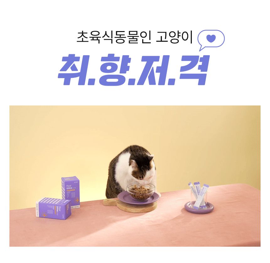 펫생각 캣 데일리케얼 리얼 신장 영양제 2g*30p 17번째