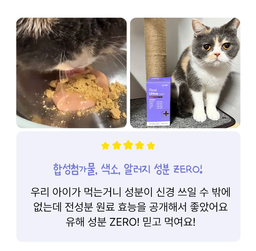 펫생각 캣 데일리케얼 리얼 신장 영양제 2g*30p 5번째